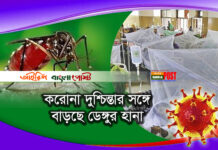 মড়ার উপর খাঁড়ার ঘাঃকরোনা দুশ্চিন্তার সঙ্গে বাড়ছে ডেঙ্গুর হানা