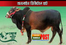 কোরবানীর পশুর ‘ডিজিটাল হাটে’ ক্রেতা-বিক্রেতাদের জন্য সরকারি নির্দেশনা