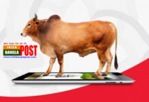 ১৪ দিনে অনলাইনে ১৬৬৫ কোটি টাকার পশু বিক্রি