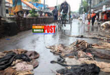 দাম না পেয়ে রাস্তায় চামড়া ফেলে গেলেন মৌসুমী ব্যবসায়ীরা