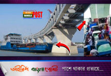 মাস্টার ও সুকানির অসতর্কতায় পদ্মা সেতুতে ফেরির ধাক্কা: তদন্ত প্রতিবেদন