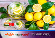 প্রতিদিন সকালে লেবুর পানি কেন খাবেন?