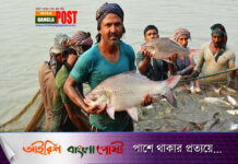 বাংলাদেশ মাছ উৎপাদনের প্রবৃদ্ধিতে বিশ্বে দ্বিতীয়
