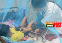 চলতি বছরের সব রেকর্ড ভাঙলো ডেঙ্গু