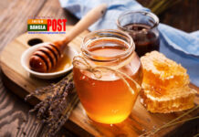 মধু খাঁটি না কি নকল? যেভাবে বুঝবেন