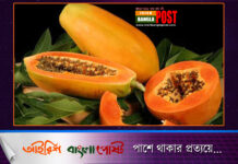 ত্বক সুন্দর ও সুস্থ রাখতে ফল রাখুন খাবার তালিকায়