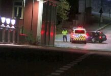 নরওয়েতে তীর-ধনুক নিয়ে হামলায় নিহত ৫