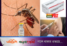 ১০০ বছরের বেশি সময় ধরে চেষ্টার পর মিলেছে ম্যালেরিয়ার একটি কার্যকর টিকা