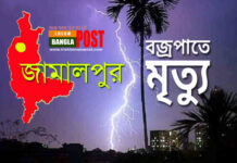 জামালপুরে বজ্রপাতে দাদা ও নাতিসহ ৩ জনের মৃত্যু