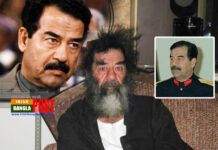 গর্তে লুকিয়ে নয়, ধরা পড়ার সময় ‘ঘরে নামাজ পড়ছিলেন’ সাদ্দাম: মার্কিন দোভাষী