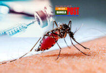 আসছে ভ্যাকসিন, আর হবে না ম্যালেরিয়া