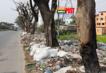 ফেনী পৌরসভার বর্জ্যের আগুনে পুড়ে মরে যাচ্ছে ঢাকা-চট্টগ্রাম মহাসড়কের দুই পাশের বৃক্ষ।