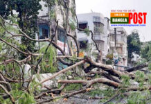 সারাদেশে কালবৈশাখীতে ৬ জনের মৃত্যু