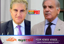 পাক প্রধানমন্ত্রী পদে মনোনয়নপত্র জমা দিলেন শেহবাজ ও কুরেশি