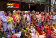 খালেদা জিয়াকে তিলে তিলে হত্য করছে সরকার: সেলিনা রহমান