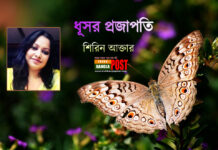ধূসর প্রজাপতি