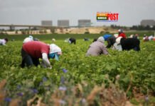 ২০২৩ সালে ৮২ হাজার শ্রমিক নেবে ইতালি, যেতে পারবেন বাংলাদেশিরাও