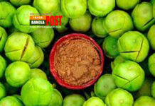 শরীরের উপর লবণের প্রভাব নিয়ে জনমনে যেসব বিভ্রান্তি