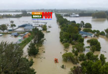 নিউজিল্যান্ডে ঘূর্ণিঝড়ে নিখোঁজ ৬ হাজার