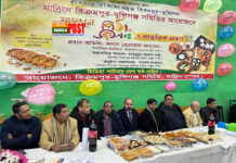 স্পেনে প্রবাসীদের উদ্যোগে পিঠা উৎসব