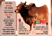 রোজায় অনেকের পাতে উঠবে না গরুর মাংস