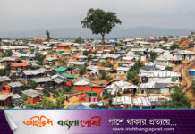 টেকনাফে রোহিঙ্গা ডাকাতের হামলায় ভাই-বোন গুলিবিদ্ধ