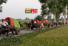 বাবার ইচ্ছা পূরণ করতে গরু ও মহিষের গাড়িতে বরযাত্রা