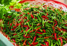 দেশে দ্রব্যমূল্যের ঊর্ধ্বগতিঃ কাঁচা মরিচের কেজি ৪০০ টাকা