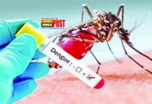 ডেঙ্গু আক্রান্তে নতুন রেকর্ড, একদিনে মৃত্যু ১৪