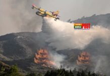 গ্রিসে দাবানল নেভাতে গিয়ে বিমান বিধ্বস্ত, পাইলটসহ নিহত ২