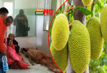 সুনামগঞ্জে মসজিদের কাঁঠাল নিলাম নিয়ে সংঘর্ষ, নিহত ৩