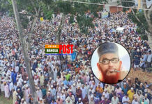আল্লামা সাঈদীর জানাজায় মানুষের ঢল