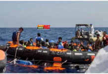 সাইপ্রাস উপকূল থেকে ৮৬ অভিবাসী উদ্ধার, গ্রেপ্তার ৪