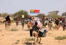 সুদানে বাস্তুচ্যুত ৪০ লাখ মানুষ, হানা দিতে পারে দুর্ভিক্ষ