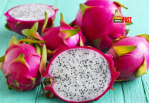 ওমেগা ৩ এর উৎস ড্রাগন ফলের আরও যত গুণ