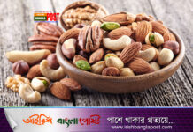 বয়স ধরে রাখতে যে ৩ বাদাম খাবেন