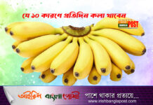 যে ১০ কারণে প্রতিদিন কলা খাবেন