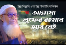 বরেণ্য আলেম আল্লামা লুৎফর রহমান আর নেই