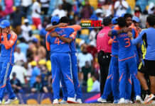 ৭ রানে হারিয়ে দ্বিতীয়বারের মতো টি২০ বিশ্বকাপ জিতে নিলো ভারত