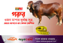 গরুর ওজন মাপার দুর্দান্ত সূত্র, আর লাগবে না কোন মেশিন