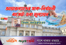 আয়ারল্যান্ডের প্রাক-নির্বাচনী বাজেট: এবং মূল্যায়ন