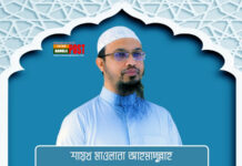 প্রবাসীদের নিয়ে নতুন সরকারের কাছে যে আহ্বান শায়খ আহমাদুল্লাহর