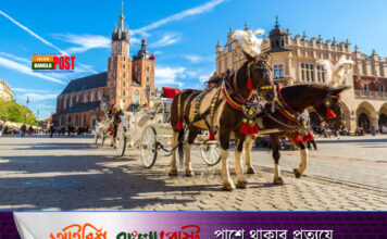 অনিয়মিত অভিবাসীদের আশ্রয় চাওয়ার অধিকার স্থগিত করতে চায় পোল্যান্ড