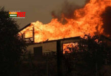 লস অ্যাঞ্জেলেসে ভয়াবহ দাবানল, ১৫০ বিলিয়ন ডলার ক্ষতির শঙ্কা