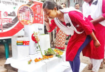 শহীদ মিনার ভেঙে শৌচাগার স্থাপন, কাগজের মিনারে শ্রদ্ধা নিবেদন