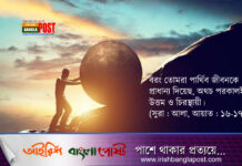 জীবনে ব্যর্থতাকে পিছনে ফেলে কীভাবে ঘুরে দাঁড়াবেন?