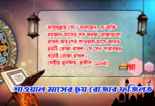 শাওয়াল মাসের ছয় রোজার ফজিলত